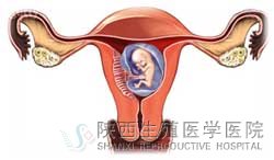 �ӌm��Ĥ��λ�Y����������