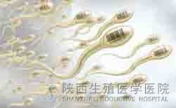 ���Բ��侫��(d��o)�µĲ�����ô�ί�