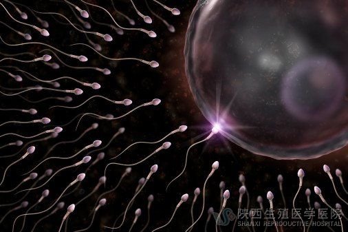 男性弱精性不育怎么治療
