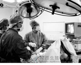 前列腺炎會影響生育嗎