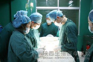 ����֪����������Ʋ�ʿ����Ժ�W�g���������gչʾ