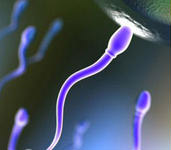 ���Ծ����|����������ߣ�