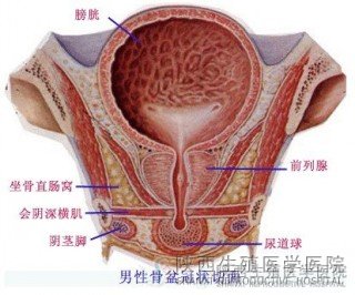 ǰ������Ӱ푑��І���