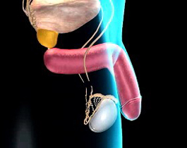 �o���Y�ί�������������e�o���r����